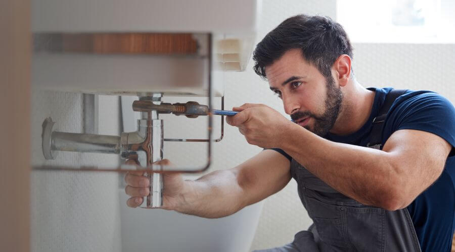 Trap Repair/Replacement in Ceresco, MI